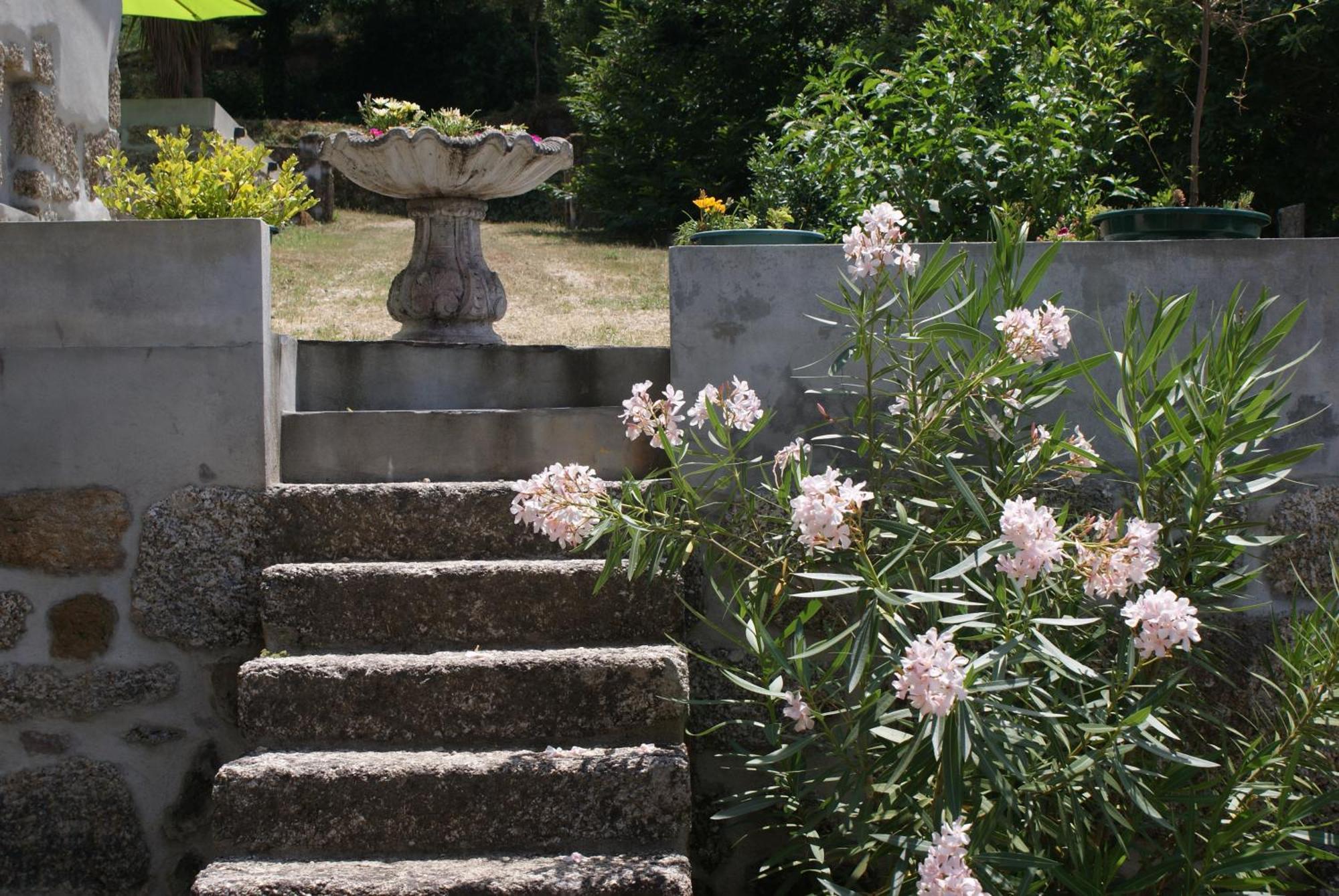 Quinta Da Encavalada Villa Nogueira do Cravo Bagian luar foto
